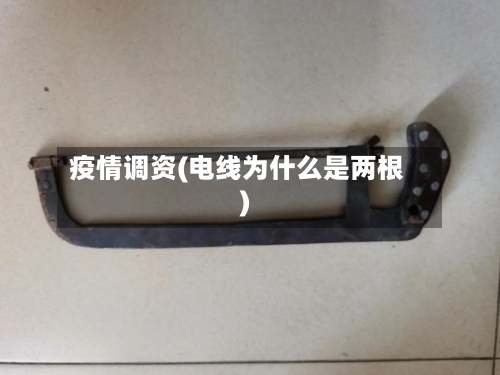 疫情调资(电线为什么是两根)-第2张图片