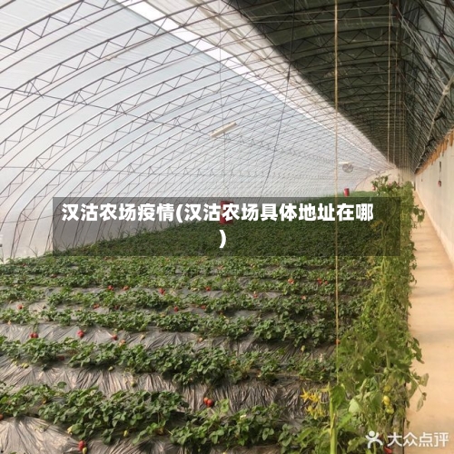 汉沽农场疫情(汉沽农场具体地址在哪)-第2张图片