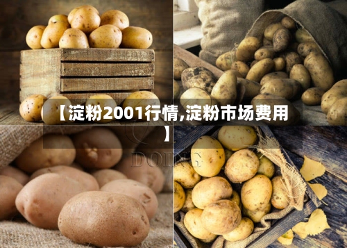 【淀粉2001行情,淀粉市场费用】-第2张图片
