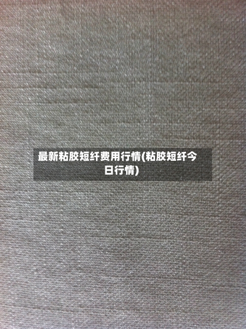最新粘胶短纤费用行情(粘胶短纤今日行情)