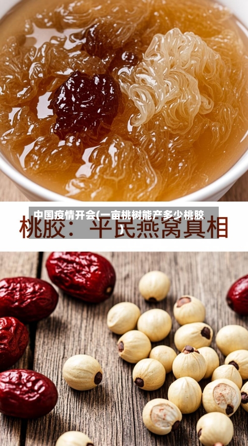 中国疫情开会(一亩桃树能产多少桃胶)