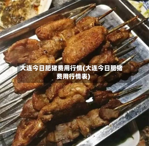 大连今日肥猪费用行情(大连今日肥猪费用行情表)