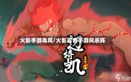 火影手游毒风/火影忍者手游风杀阵-第2张图片