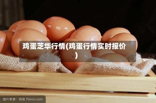 鸡蛋芝华行情(鸡蛋行情实时报价)-第2张图片