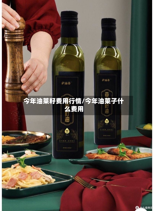 今年油莱籽费用行情/今年油莱子什么费用-第2张图片