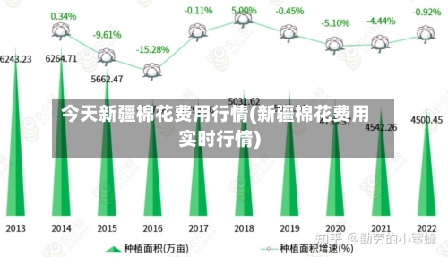 今天新疆棉花费用行情(新疆棉花费用实时行情)