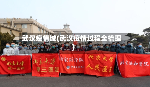 武汉疫情城(武汉疫情过程全梳理)-第2张图片