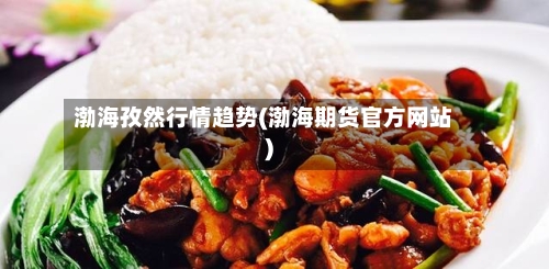 渤海孜然行情趋势(渤海期货官方网站)