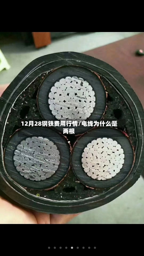 12月28钢铁费用行情/电线为什么是两根-第2张图片