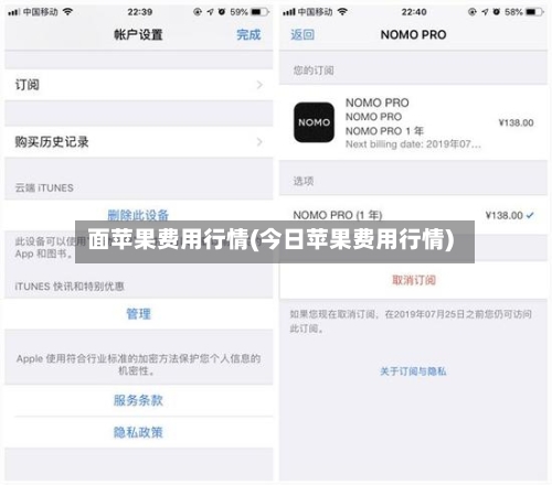 面苹果费用行情(今日苹果费用行情)