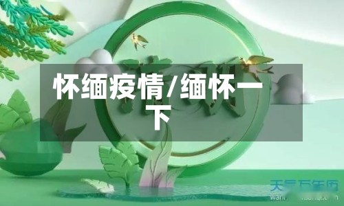 怀缅疫情/缅怀一下