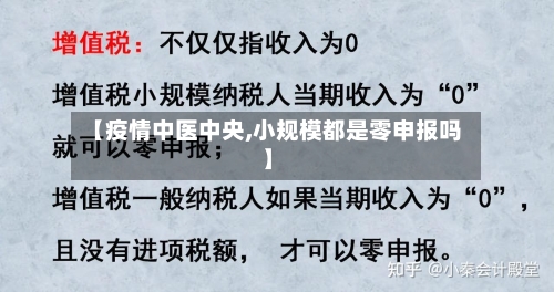 【疫情中医中央,小规模都是零申报吗】