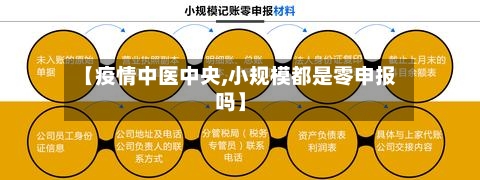 【疫情中医中央,小规模都是零申报吗】-第3张图片