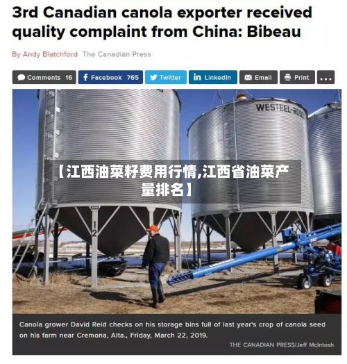 【江西油菜籽费用行情,江西省油菜产量排名】-第3张图片