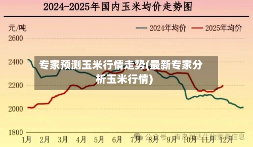 专家预测玉米行情走势(最新专家分析玉米行情)