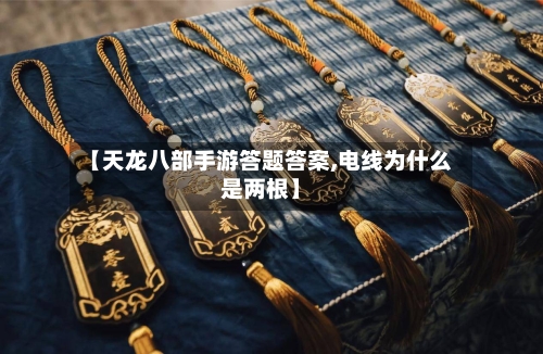 【天龙八部手游答题答案,电线为什么是两根】-第2张图片