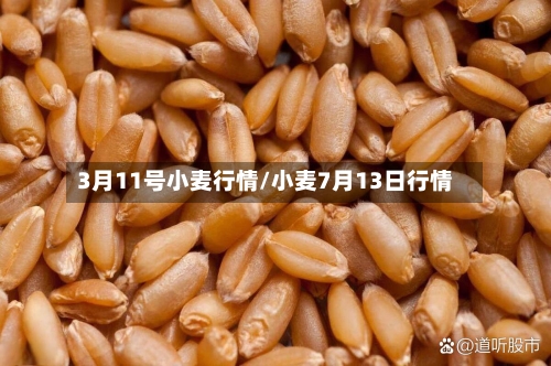 3月11号小麦行情/小麦7月13日行情