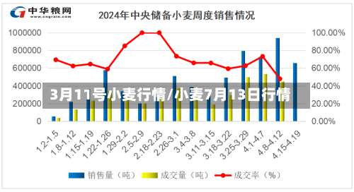 3月11号小麦行情/小麦7月13日行情-第2张图片