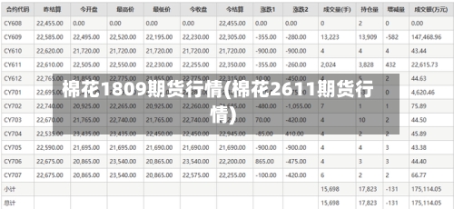 棉花1809期货行情(棉花2611期货行情)-第3张图片