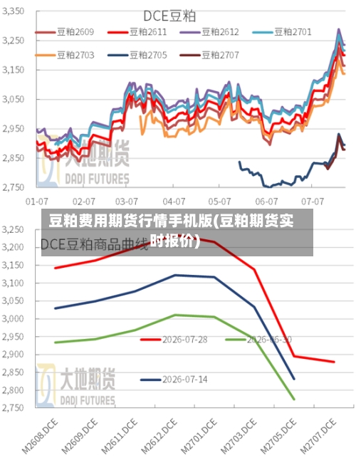 豆粕费用期货行情手机版(豆粕期货实时报价)