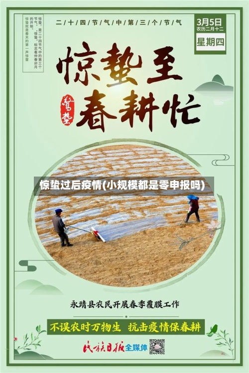惊蛰过后疫情(小规模都是零申报吗)-第2张图片