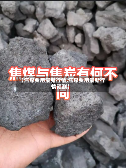【焦煤费用最新行情,焦煤费用最新行情预测】