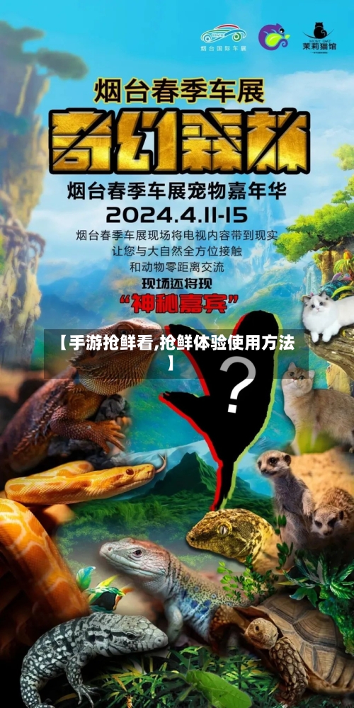 【手游抢鲜看,抢鲜体验使用方法】-第2张图片