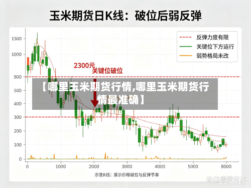 【哪里玉米期货行情,哪里玉米期货行情最准确】-第2张图片