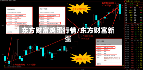 东方财富鸡蛋行情/东方财富新蛋