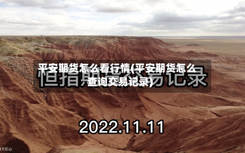 平安期货怎么看行情(平安期货怎么查询交易记录)