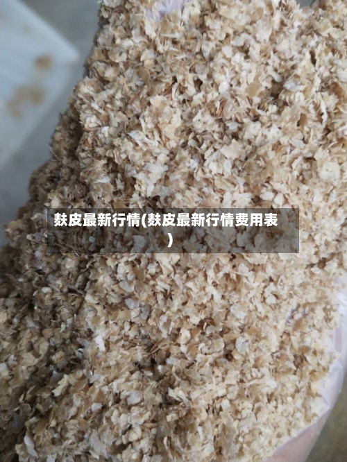 麸皮最新行情(麸皮最新行情费用表)