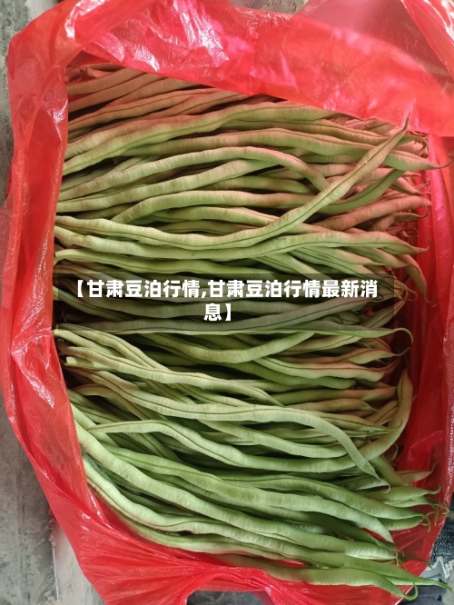 【甘肃豆泊行情,甘肃豆泊行情最新消息】-第2张图片