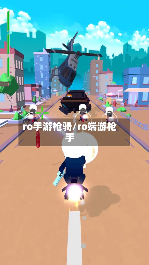 ro手游枪骑/ro端游枪手