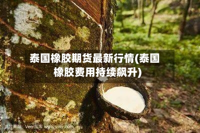 泰国橡胶期货最新行情(泰国橡胶费用持续飙升)-第3张图片