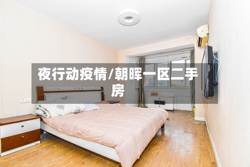 夜行动疫情/朝晖一区二手房-第2张图片