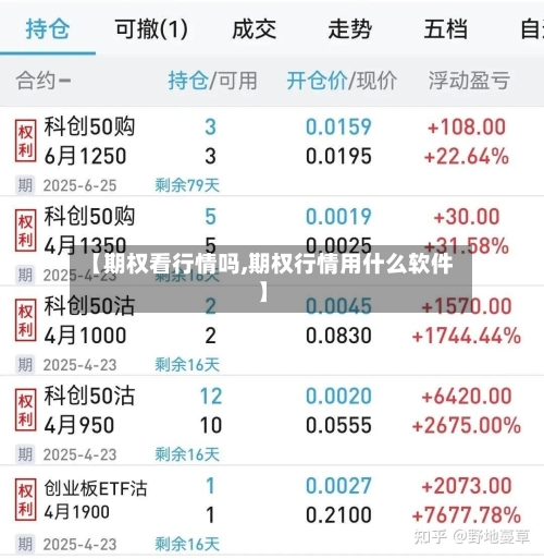 【期权看行情吗,期权行情用什么软件】