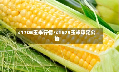c1705玉米行情/c1579玉米审定公告-第2张图片