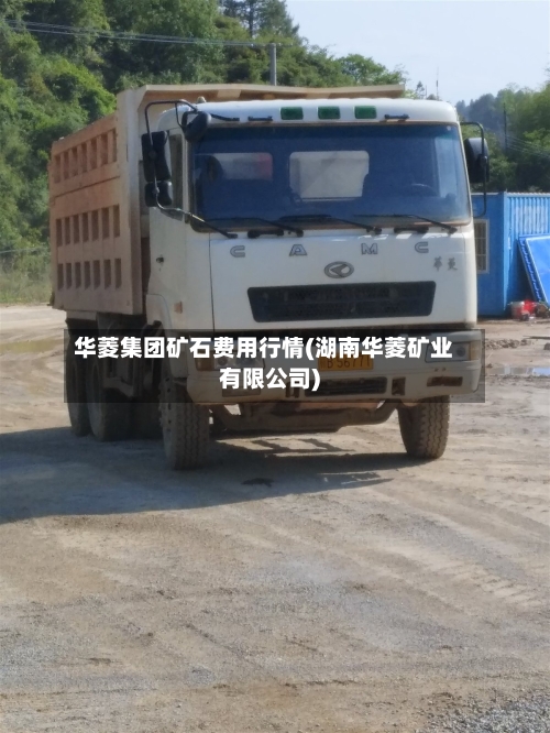 华菱集团矿石费用行情(湖南华菱矿业有限公司)