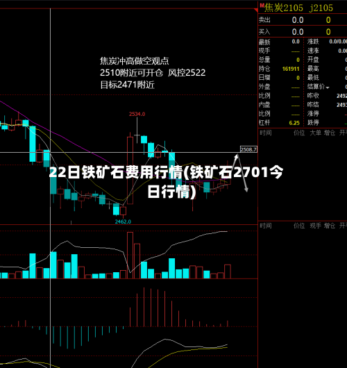 22日铁矿石费用行情(铁矿石2701今日行情)