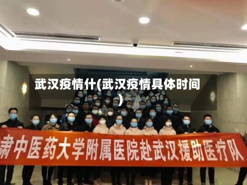 武汉疫情什(武汉疫情具体时间)-第2张图片