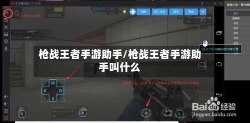 枪战王者手游助手/枪战王者手游助手叫什么
