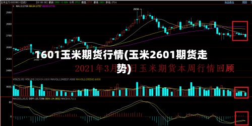 1601玉米期货行情(玉米2601期货走势)-第2张图片