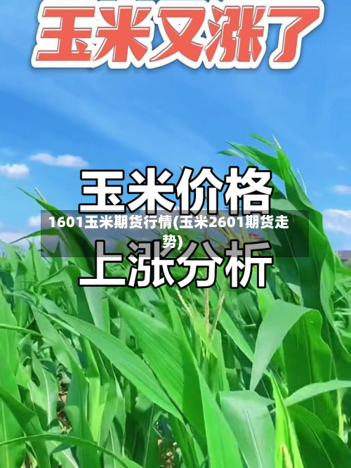 1601玉米期货行情(玉米2601期货走势)