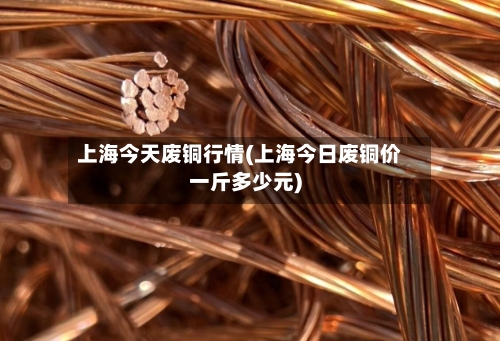 上海今天废铜行情(上海今日废铜价一斤多少元)-第2张图片