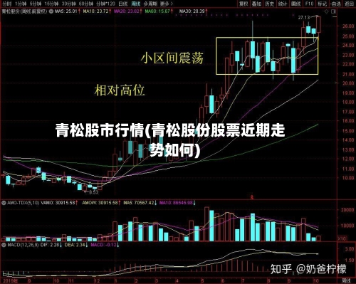 青松股市行情(青松股份股票近期走势如何)