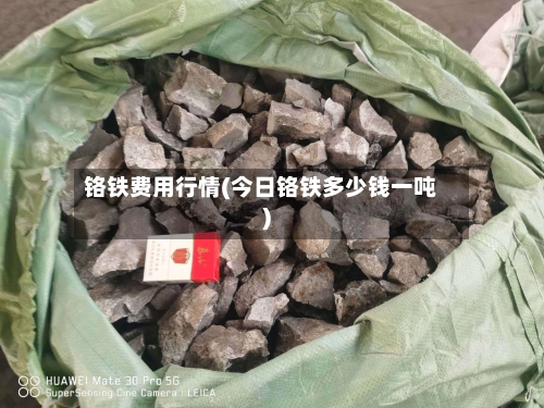 铬铁费用行情(今日铬铁多少钱一吨)