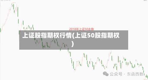 上证股指期权行情(上证50股指期权)