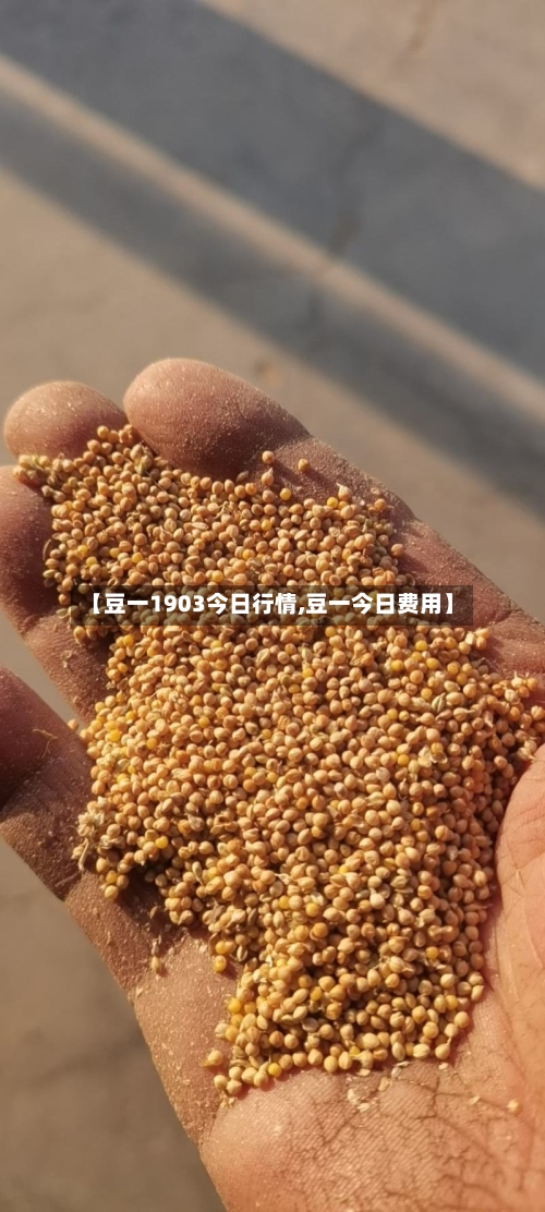 【豆一1903今日行情,豆一今日费用】
