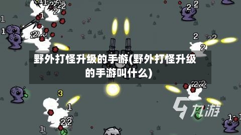 野外打怪升级的手游(野外打怪升级的手游叫什么)