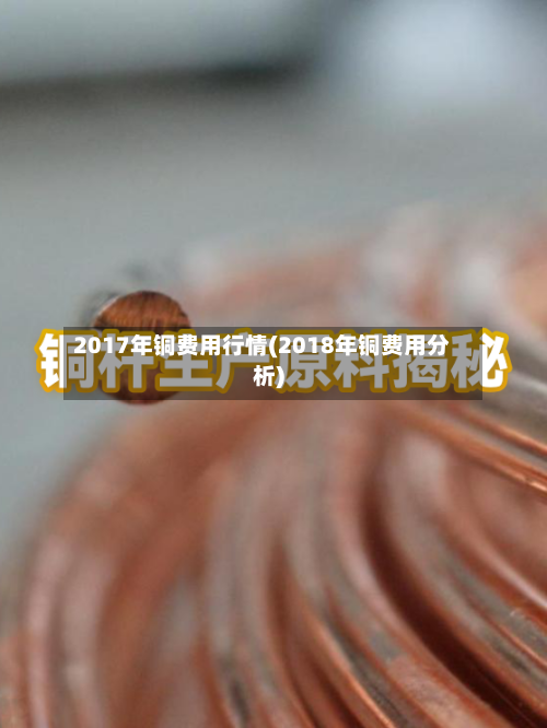2017年铜费用行情(2018年铜费用分析)-第3张图片